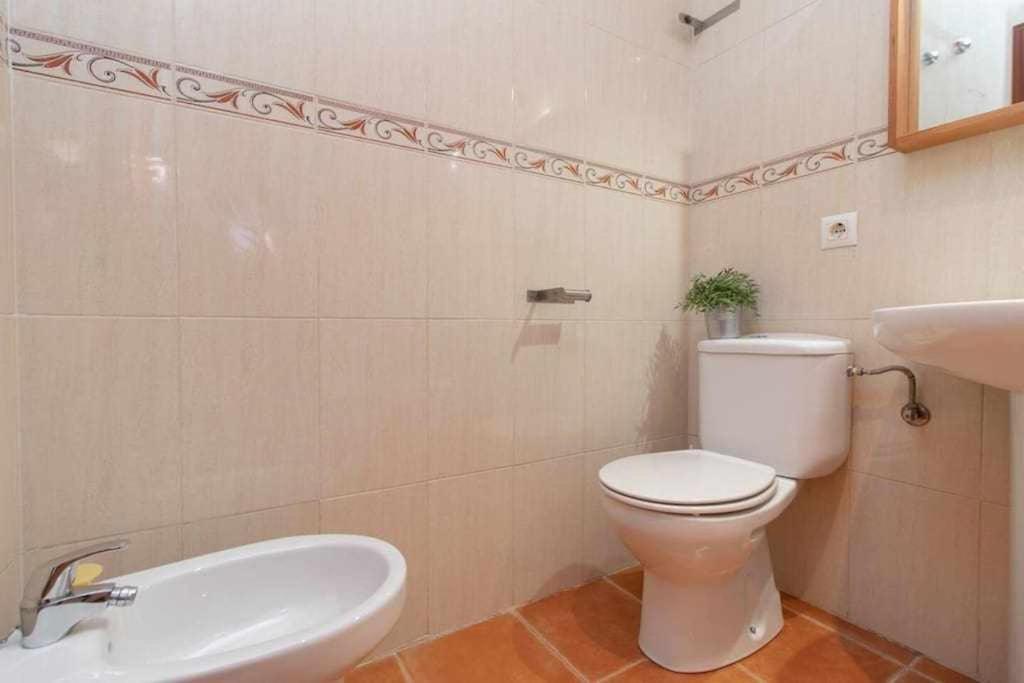 Aceite Duplex En El Centro Historico De Malaga Appartement Buitenkant foto